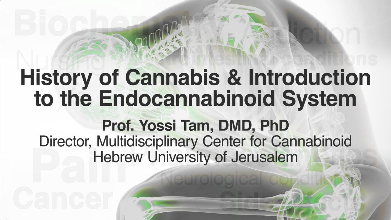 Watch Full Movie - History of Cannabis and Introduction to the Endocannabinoid system