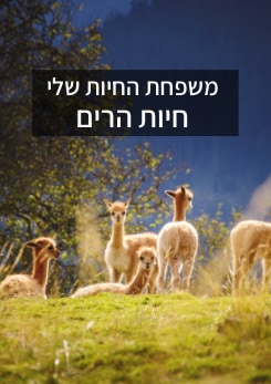 צפייה בסרט המלא משפחת החיות - בעלי חיים בהרים - צפייה בטריילר