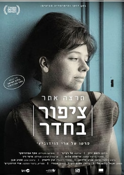 צפייה בסרט המלא - ציפור בחדר