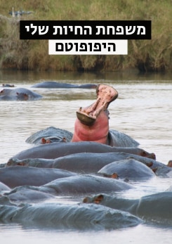צפייה בסרט המלא משפחת החיות שלי - היפופוטם - צפייה בטריילר