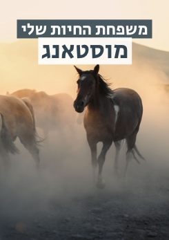 צפייה בסרט המלא משפחת החיות שלי - מוסטאנג - צפייה בטריילר