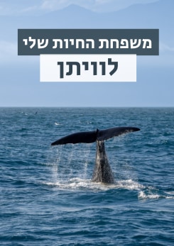 צפייה בסרט המלא משפחת החיות שלי - לוויתן - צפייה בטריילר
