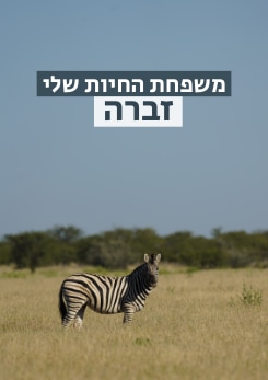 צפייה בסרט המלא משפחת החיות שלי - זברה - צפייה בטריילר