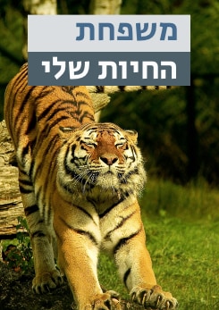 משפחת החיות שלי