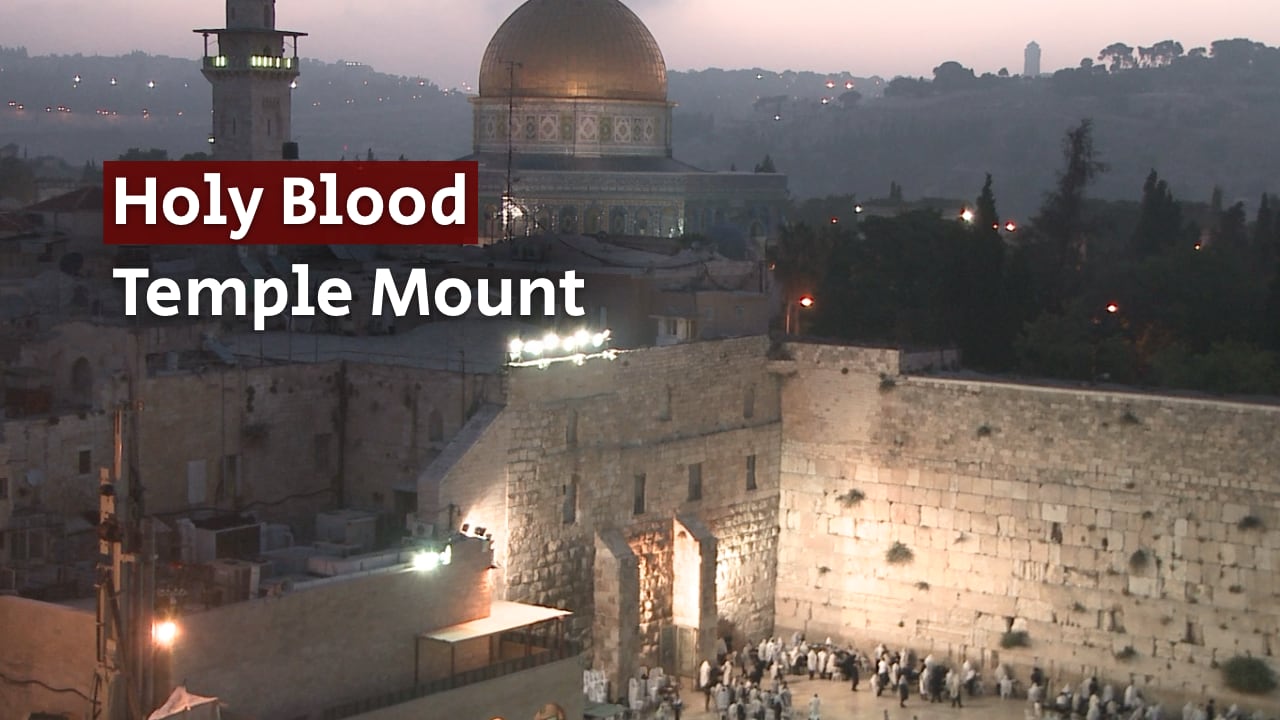 Watch Full Movie - Holy Blood: The Temple Mount