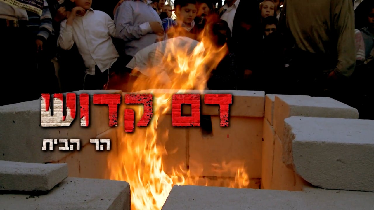 צפייה בסרט המלא - דם קדוש: הר הבית