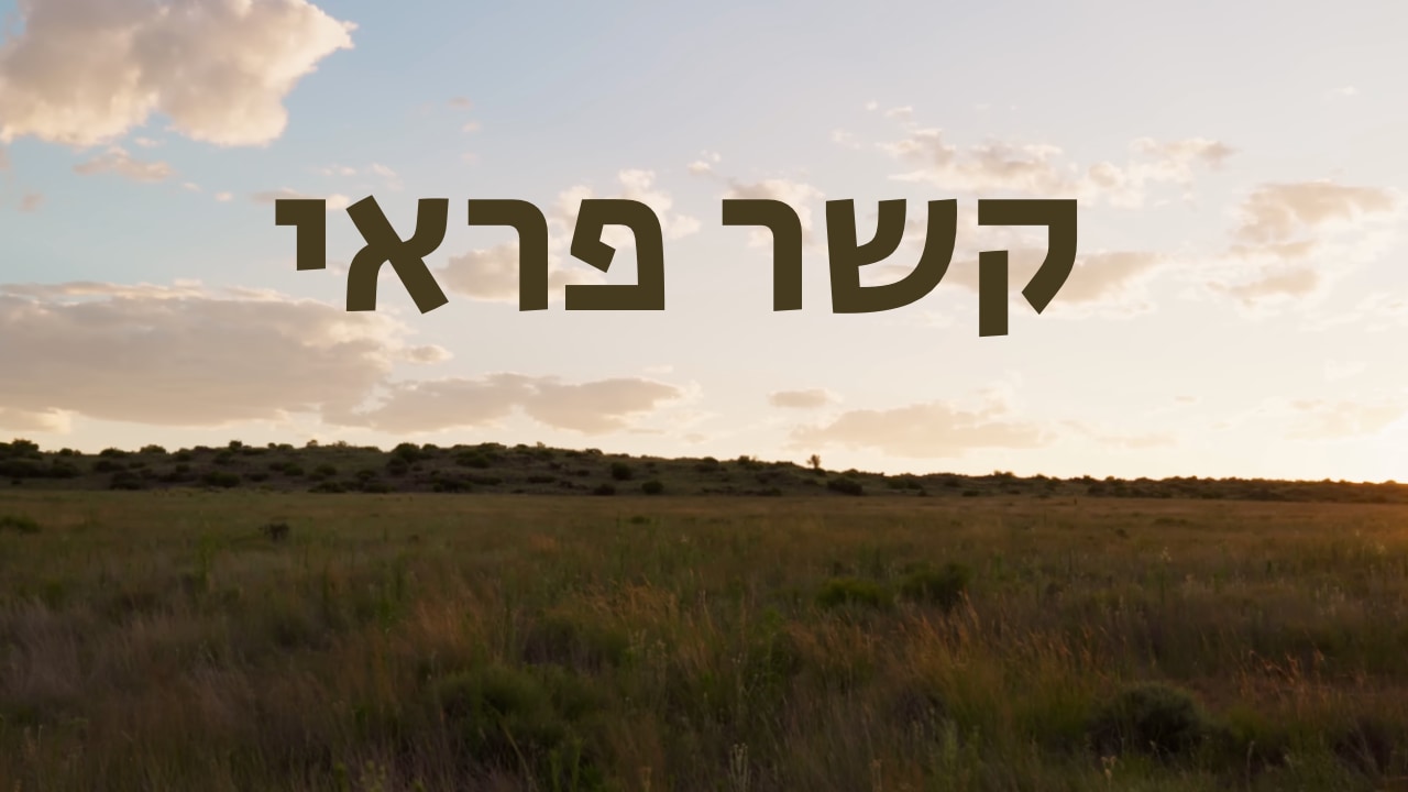 צפייה בסרט המלא - קשר פראי - שמורת הברדלסים