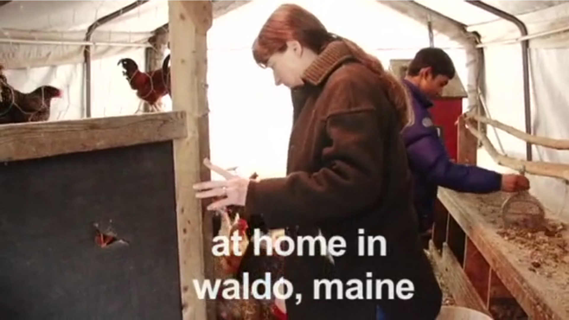 Watch Full Movie -  At Home In Waldo, Maine